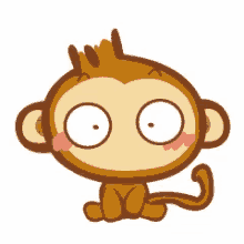 Yoyo Monkey GIF - Yoyo Monkey What GIFs