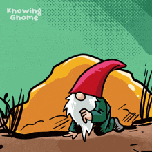 a cartoon of a gnome with the words knowing gnome below