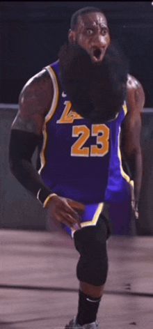 a basketball player wearing a purple jersey with the number 23