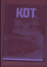 a book titled kot with a picture of a cat on it