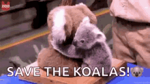 Save The Koalas Hug GIF - Save The Koalas Hug Koala GIFs
