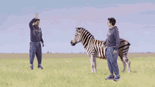 John Mayer Zebra GIF