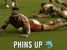 Phinsup Nrl Dolphins GIF