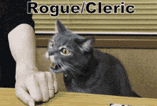 Dnd Dungeons And Dragons GIF - Dnd Dungeons And Dragons Rogue Cleric GIFs