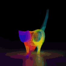 Rainbow Cat GIF - Rainbow Cat GIFs