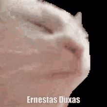 Ernestas Duxas GIF - Ernestas Duxas Ernestas Duxas GIFs
