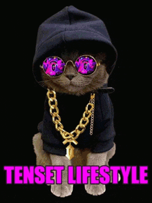 tenset 10set crypto lifestyle cat