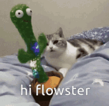 Hi Flowster Flowster GIF - Hi Flowster Flowster She Is One Of My Friends GIFs