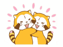 lily raccoon hug rascal hugs