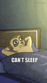 Can'T Sleep Cant Sleep GIF - Can'T Sleep Cant Sleep Sleep GIFs