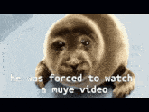 Muye He Was Forced To GIF