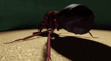 Ant Twerking Antelligence Ant GIF - Ant Twerking Antelligence Ant Ant GIFs