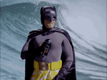 Batman Surfing GIF - Batman Surfing Spray GIFs