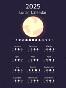 a poster of the lunar calendar for 2025