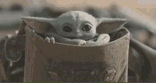 a baby yoda is sitting in a bag and looking out of it