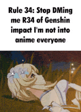 rule 34 says to stop dming me r34 of genshin impact i m not into anime everyone
