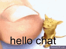 Hello Chat Chat GIF - Hello Chat Chat Weird Stupid Creature GIFs