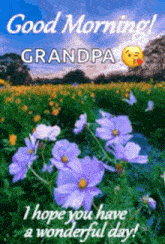 Good Morning Field Of Flowers GIF - Good Morning Field Of Flowers Butterflies GIFs