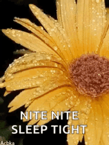 Nite Good Night GIF - Nite Good Night Water GIFs