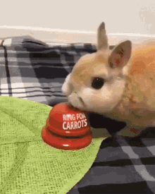 bunny rabbit carrots ring bell