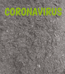 Coronavirus Middle Finger GIF - Coronavirus Middle Finger Fuck Off GIFs