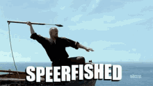 Speerfished GIF - Speerfished GIFs