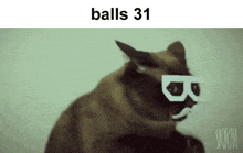 Cat Meme Cat Memes GIF - Cat Meme Cat Memes Balls 31 GIFs