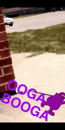 Ooga Booga Kane GIF - Ooga Booga Kane GIFs
