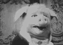 Pig Creepy Pig GIF - Pig Creepy Pig Creepy GIFs