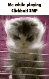 Cat Powerful GIF - Cat Powerful Clickbaitsmp GIFs