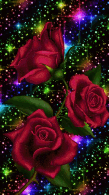 nasserq ross flowers