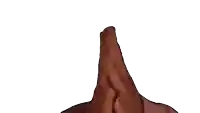 a close up of a brown object on a white background .