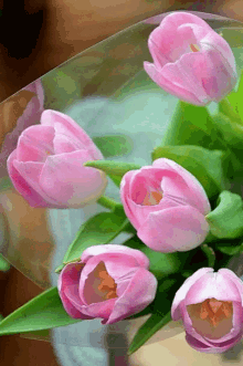 Tulips Flower GIF - Tulips Flower Showing GIFs