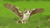 a cat with wings that look like an owl is flying through the air