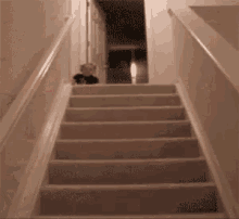 Getting There Milk Goals GIF - Getting There Milk Goals Baby In Stairs GIFs
