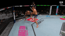 two men are fighting in a ufc ring with naked gun written on the mat