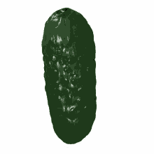 day pickle