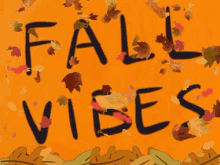 Fallvibes Falltime GIF