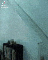 a person is standing on a staircase next to a bookshelf and a wall .