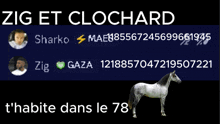 a picture of a horse with the words zig et clochard