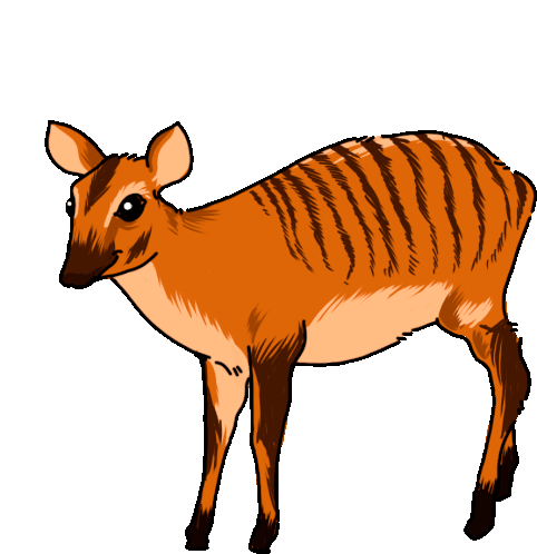 Antelope Duiker Sticker - Antelope Duiker Zebra Duiker Stickers