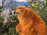 a close up of a teddy bear standing in the woods
