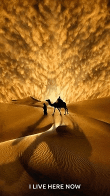 a poster of a man riding a camel in the desert with the words i live here now below it
