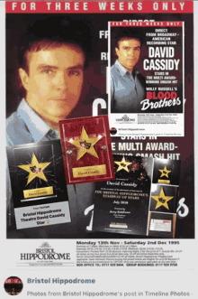 David Cassidy The Cassidy Rose GIF - David Cassidy The Cassidy Rose David Cassidy Star GIFs