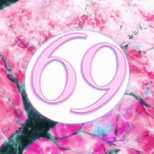 the number 69 is on a pink background with flowers .