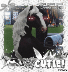 a picture of a black and white horse with the words cutie on the bottom right
