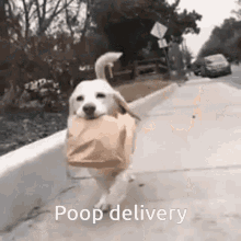 delivery poo
