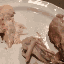 a white plate topped with chicken bones and meat