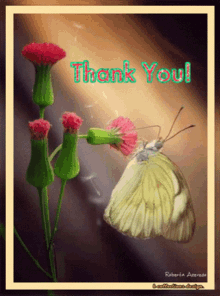 a butterfly is sitting on a flower with the words thank you written above it
