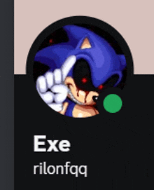 a screenshot of a sonic the hedgehog avatar with the name exe rilonfaq